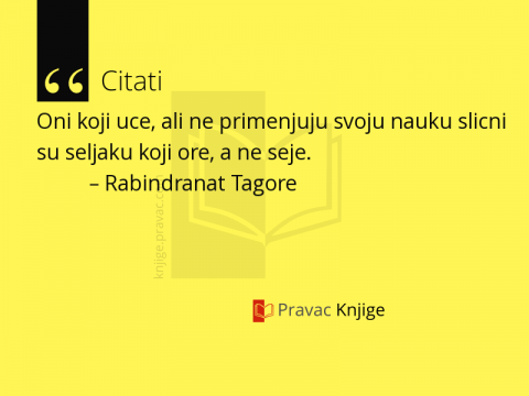 Citat #498