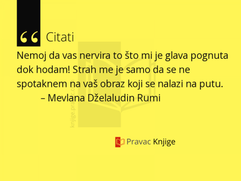 Citat #881 Citat #881